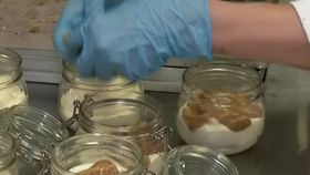 VIDEO Ajutoarele lui Moș Crăciun, chemate la datorie. Cererea de angajare este mult mai mare în această perioadă